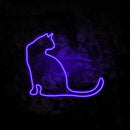 Cat neon sign