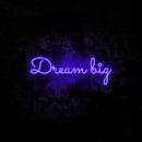 Dream Big neon sign